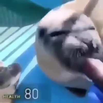 Wunkus🙂