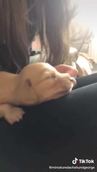 The definition of puppy eyes