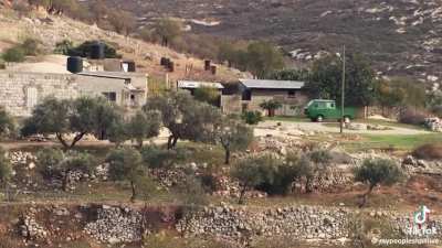 &ldquo;This Palestine of Zaytun (Olives) - I love it&rdquo;