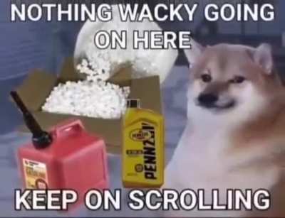 Hello chads can someone send me that clip of the Indian kid from Phineas and Ferb that crushes discord so that I can join a furry server tag them all with that clip and crush their discord and then quit their server