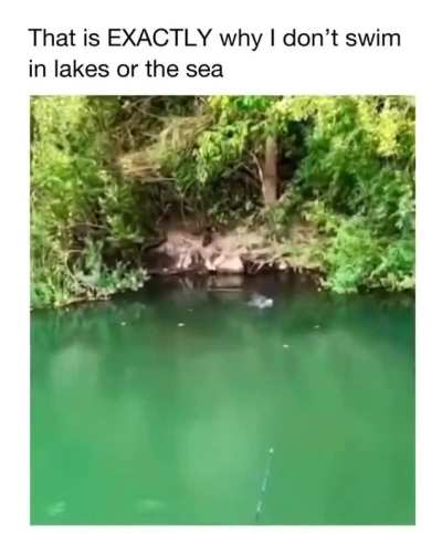 That's a big fish 