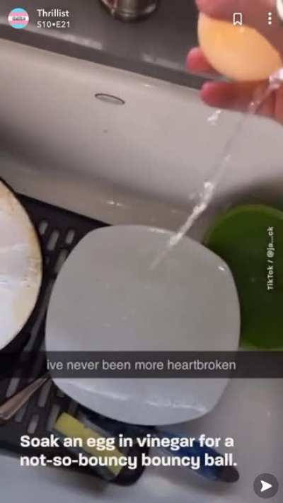 Egg