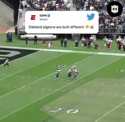 Raiders didn&rsquo;t even get called for having an additional player on field