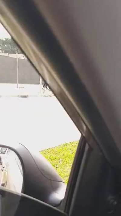 Eu amo o fato que esse v&iacute;deo n&atilde;o tem sentido nenhum