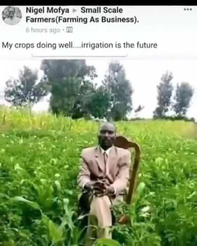 Title