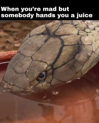 me_irl