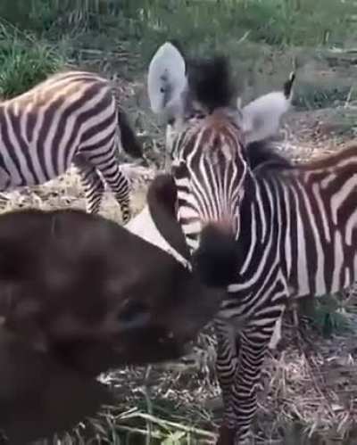 Need your company