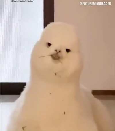 Wunkus&hellip;Wunkus is actually horrifying.