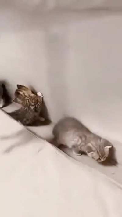 Secret hangout