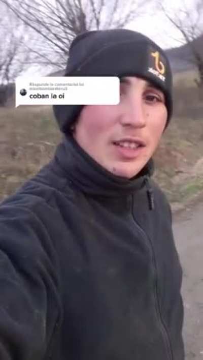 Cioban la oi
