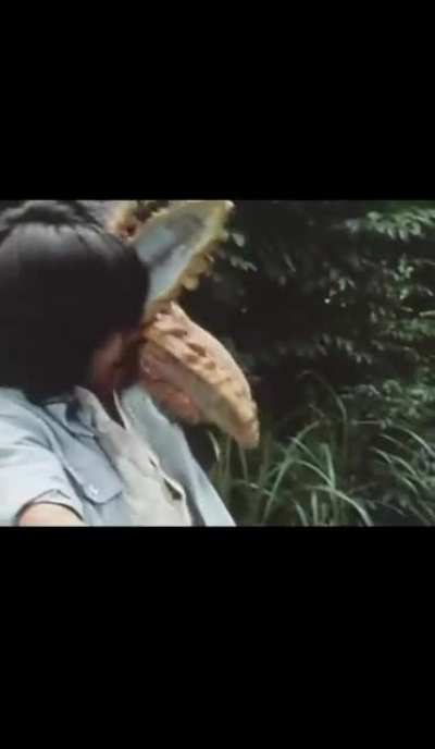 WTF did i just watch&hellip;