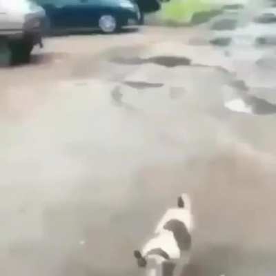 deli orospu evladı senin g&ouml;t&uuml;n&uuml; yaladıktan sonra sikiyim napıyon el kadar hayvana (&ouml;lmemiştir demi bence bayılmıştır sadece)