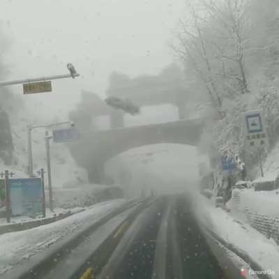 OMG a car is falling