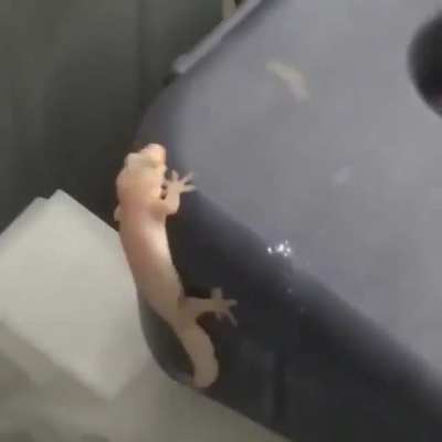 He shakin&rsquo;