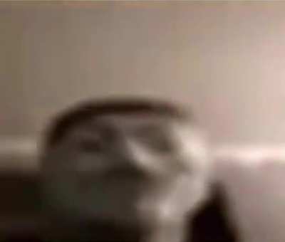me when clicking 8 in fnf