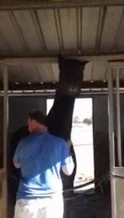 "Did I say you can stop?"
