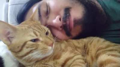 Anyone else does this with their cat or am I just too weird?