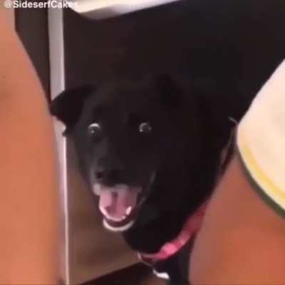 Canisbalism