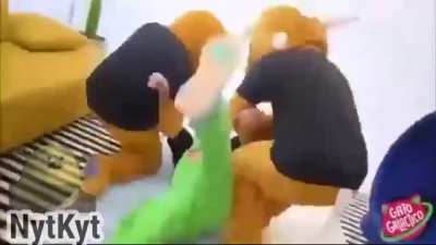 Gato gal&aacute;ctico metendo porrada em furrys ao som d Ednaldo Pereira