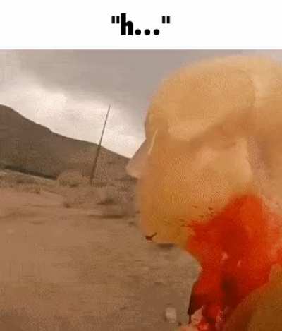 Rule post