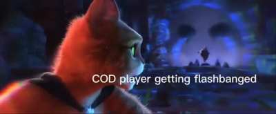 [COD] "When I get flashed..."