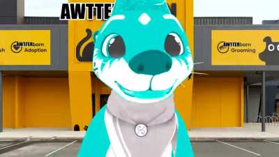 furry_irl