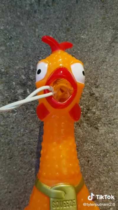 lol, i know its from tiktok, but.