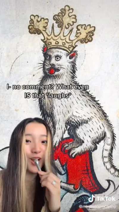 Medieval Humans could not draw cats.