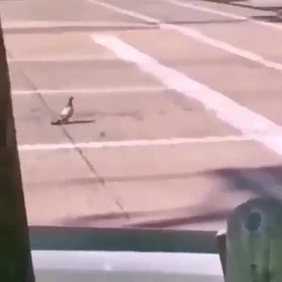 F