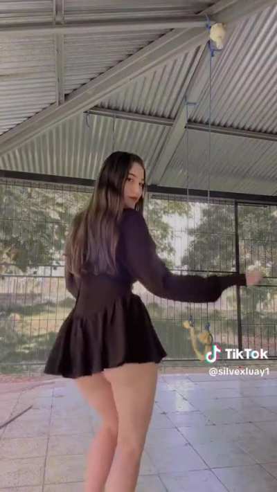 silvexluay1
