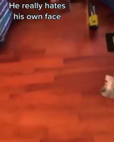 When you're ugly..