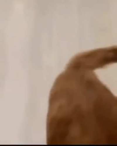 Pra mim tudo nesse gif &eacute; bom