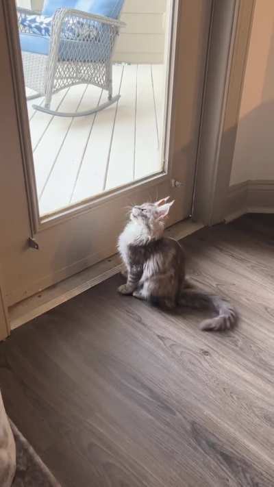 Baby girl&rsquo;s first ekekek