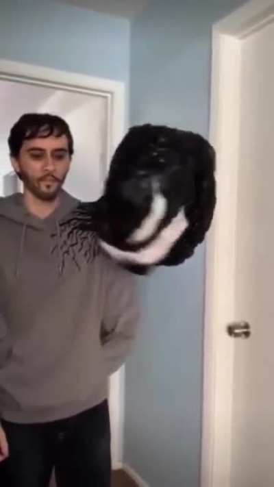 venom costume AAAAA