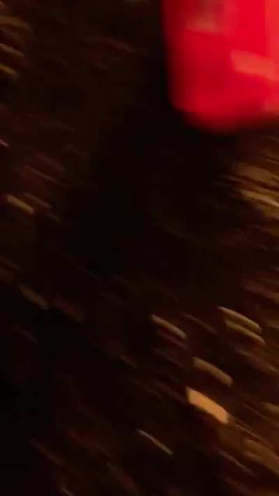 Fire dick