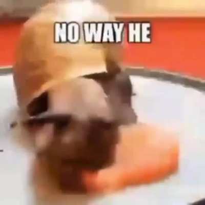 No way he.mp4
