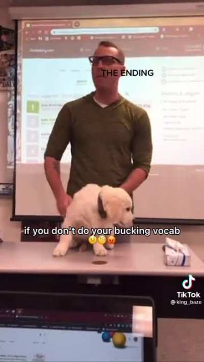 Do your bucking vocab