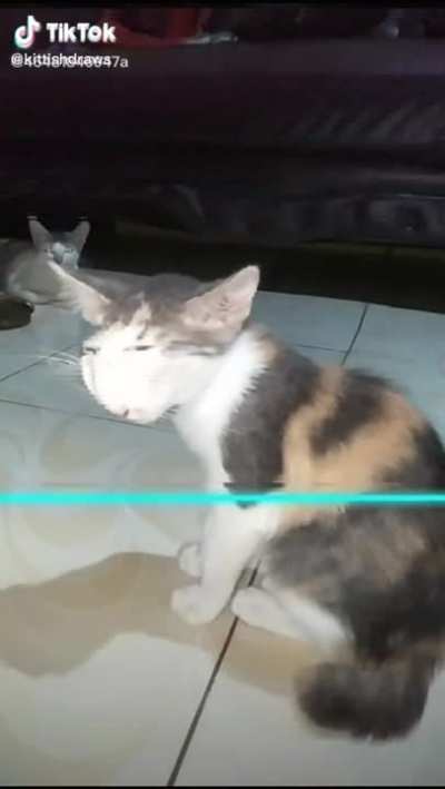 Maybe Maybe Maybe