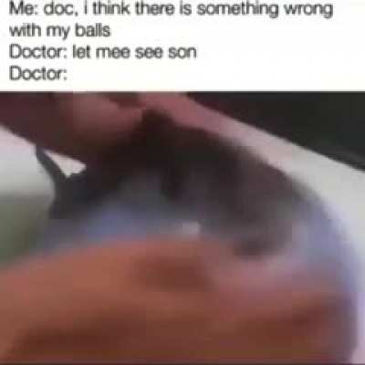 Shponky boy