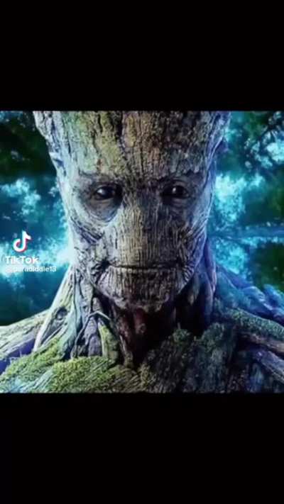 Groot root