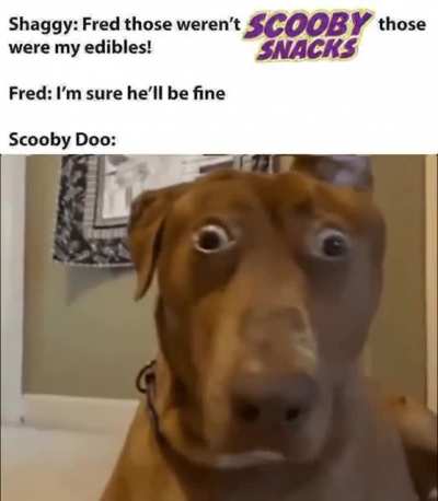 you can&acirc;t gift with v-bucks