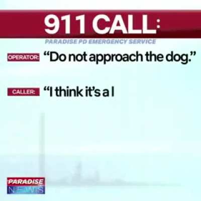 Here is my submission to the 911 calls