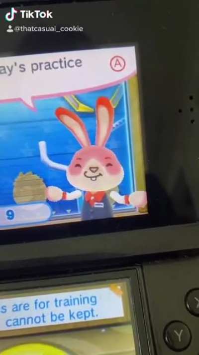 Buff Bunny