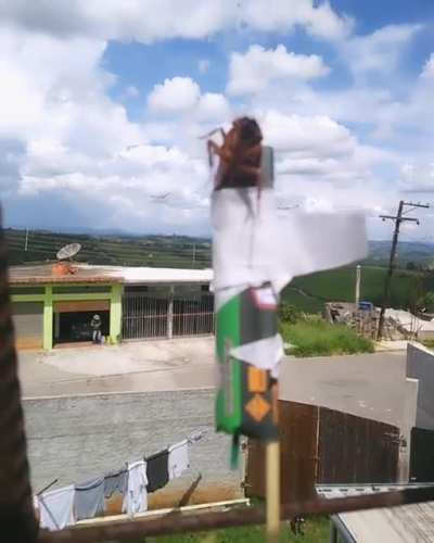 Nunca mais volve entrar na casa dos Vladimir