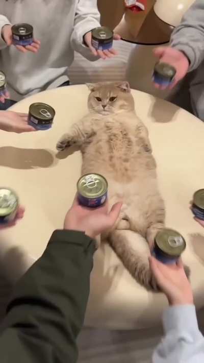 Wunky worship 