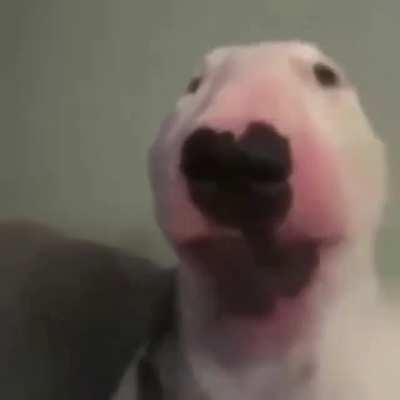 Cursed_walter