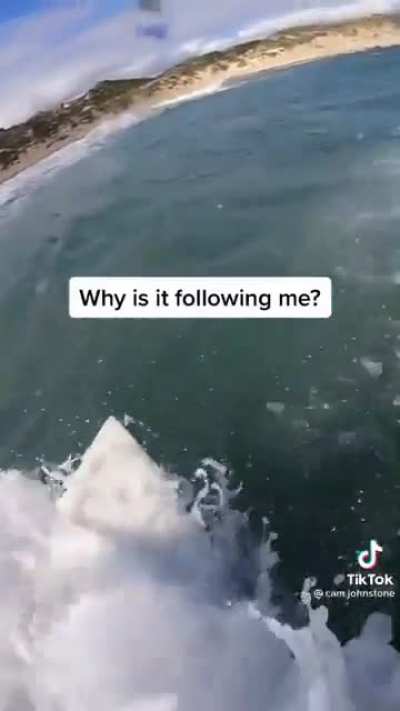Nononoyesyesno?