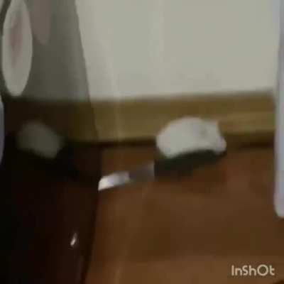 Jerry, &eacute; vc?