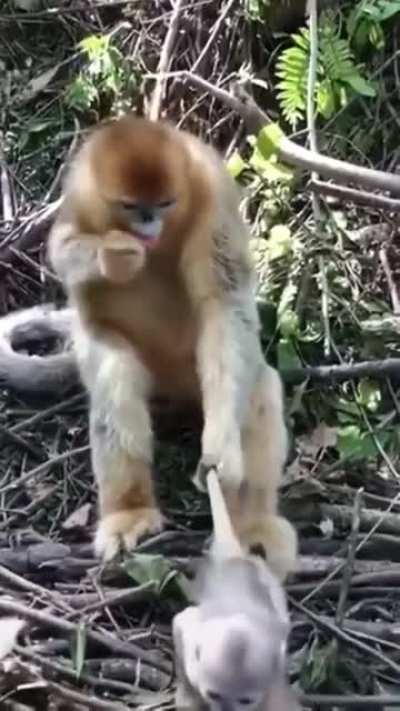 Mom just wants to sit and eat for a minute.