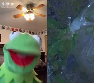 Why kermit the frog gotta scream in lowercase?
